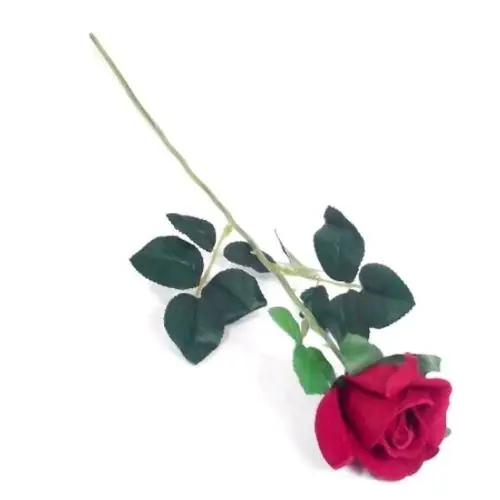 Luxury MUM Gift Hamper